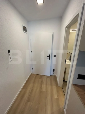 Apartament 1 camera, 40 mp, zona Marasti - imagine 3