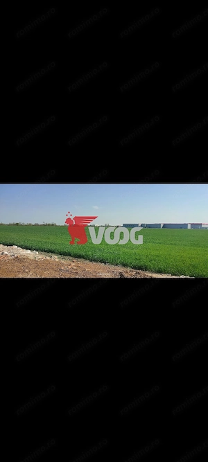 Teren 2000mp Sânandrei de vânzare - imagine 3