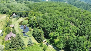 DOMENIU DE 2.1 HA CU 2 CABANE LAC SI PADURE - OPORTUNITATE PENTRU TURISM SI RETREATURI - imagine 3