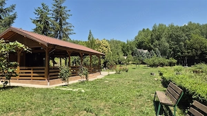 DOMENIU DE 2.1 HA CU 2 CABANE LAC SI PADURE - OPORTUNITATE PENTRU TURISM SI RETREATURI - imagine 10