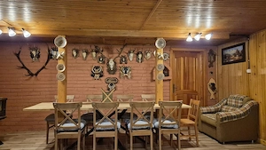 DOMENIU DE 2.1 HA CU 2 CABANE LAC SI PADURE - OPORTUNITATE PENTRU TURISM SI RETREATURI - imagine 5