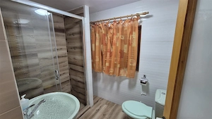 DOMENIU DE 2.1 HA CU 2 CABANE LAC SI PADURE - OPORTUNITATE PENTRU TURISM SI RETREATURI - imagine 7