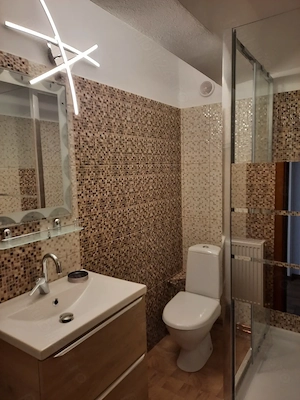Vanzare o casa speciala in Busteni,langa partie - imagine 3