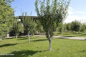 Titesti - Casa la Cheie D+P+M, 254 Mp, Teren 1130 Mp - imagine 17