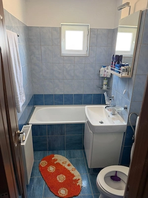 Apartament trei camere Sagului - imagine 18