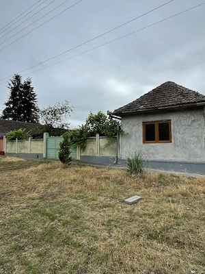 Casa de vacanță în Măderat (proprietar) - imagine 3
