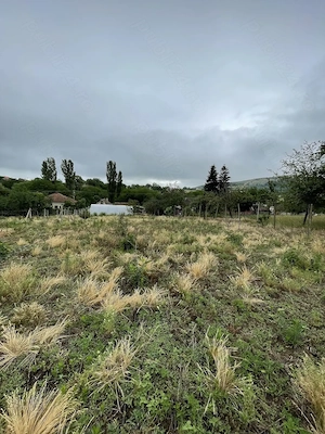 Casa de vacanță în Măderat (proprietar) - imagine 8