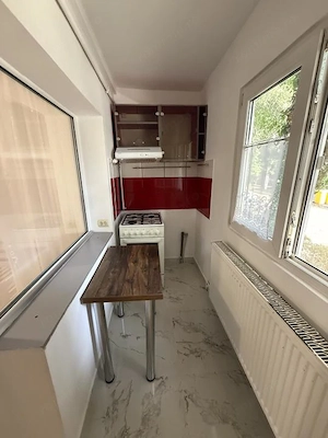 Apartament cu o camera, 22 mp utili, parter - Lipovei - imagine 4
