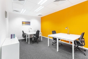 Acces all-inclusive la un spațiu de birou profesional pentru 10 persoane în Regus Green Gate  - imagine 5