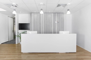 Acces all-inclusive la un spațiu de birou profesional pentru 15 persoane în Regus Primavera  - imagine 7