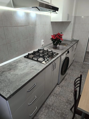 De inchiriat apartament cu o camera, parter, Mazepa 1, 320 euro - imagine 3