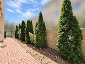 Apartament cu 2 camere | bucatarie inchisa | gradina de 45 mp in Giroc la asfalt - imagine 9