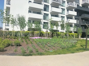 Sp.birouri 43 mp, la parter inalt,bloc nou Silk District
