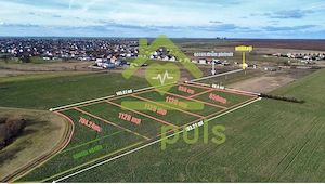 🗺️ P.U.Z. 5+1 parcele pentru blocuri – Comuna Sânandrei ✨