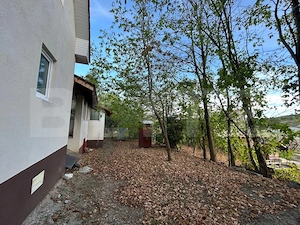 Casa de vanzare-6000mp teren - imagine 5
