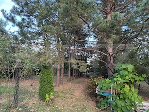 Casa de vanzare-6000mp teren - imagine 4