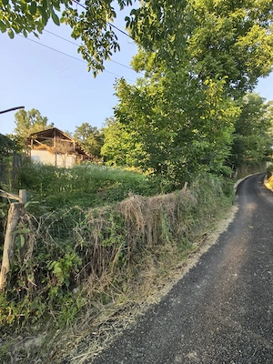 Teren de vânzare 