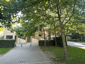 Spatiu Comercial in Parcul Primariei Snagov Ghermanesti 400 mp - imagine 10