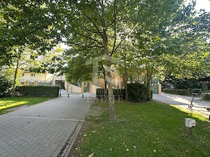 Spatiu Comercial in Parcul Primariei Snagov Ghermanesti 400 mp - imagine 12