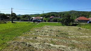 TEREN INTRAVILAN | 1052 MP | COPACELU - imagine 7