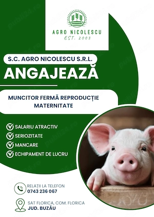 Angajăm Muncitor Fermă Suine Reproducție Maternitate