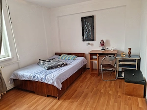 Apartament Ghencea Raul Doamnei - imagine 4