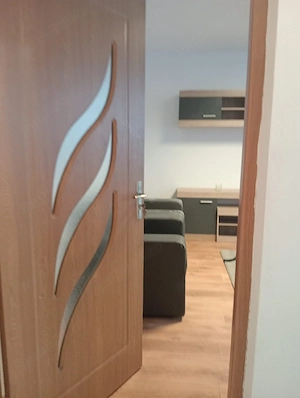 Apartament o cameră  - imagine 8