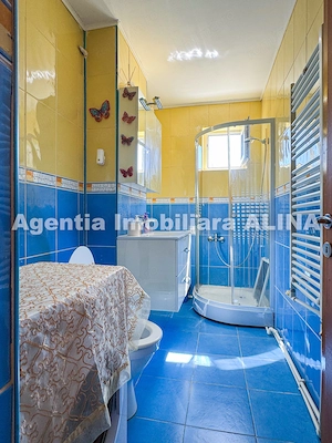 Apartament cu o camera in Mun. Deva, Jud. HD, zona Balcescu, 38 mp, etaj 4. - imagine 12