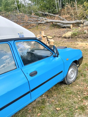 Vând Dacia papuc diesel, 4x4 la manetă  - imagine 3