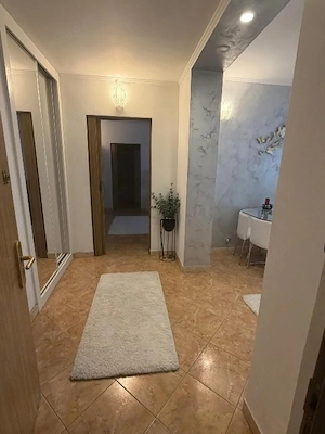 Dristor - 2 minute metrou Dristor - complet renovat - bloc anvelopat - imagine 9