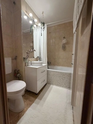 Dristor - 2 minute metrou Dristor - complet renovat - bloc anvelopat - imagine 10