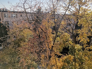 PF vand apartament cu 2 camere in Grigorescu, 47 mp  - imagine 7