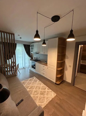 Apartament cu 2 camere in Tatarasi,bloc nou - imagine 5
