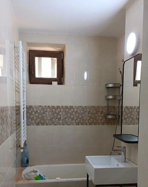 Apartment 2 camere TEILOR - imagine 7