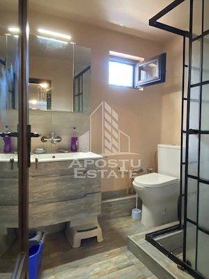 Casa individuala si spalatorie cu fise  Jebel la DN59/E70 - imagine 7