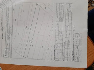  cabana casă teren intravilan poiana sarata - imagine 4