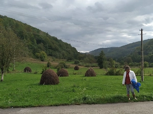 Vand casa si 1ha teren la tara, zona de munte - imagine 5