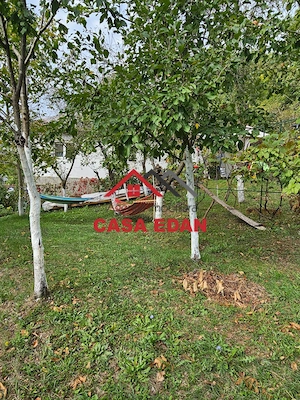 Casa in Provita--45.000 euro - imagine 5