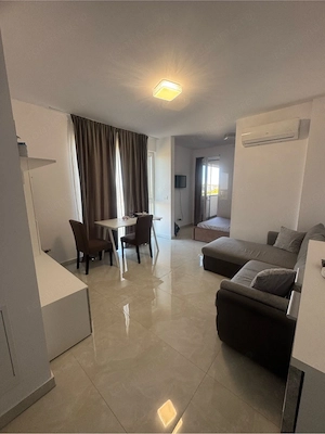 Apartament cu 1 cameră-Aradului Armoniei - imagine 13