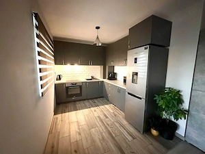 Mosnita Veche, Pet friendly, Mobilata-Utilata - imagine 6
