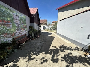 Vand casa,pretabil 2 familii,stare deosebita,st.922 mp.Zadareni-Bodrog - imagine 5