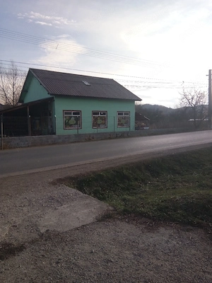 De vînzare