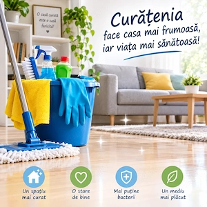 curatenie si intretinere
