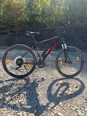 E-Bike MTB Fischer Montis EM 1726