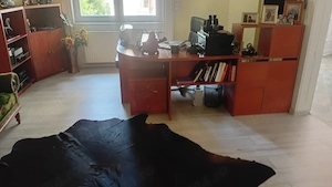 vanzare casa central (zona eminescu) - imagine 9