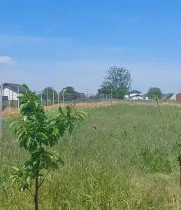 Teren intravilan de vânzare 1034 mp, în Dumitrana, Măgurele, județul Ilfov - imagine 6