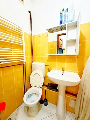 De închiriat: Garsonieră   Zona Calea Lipovei - imagine 10