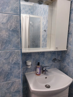Apartament 2 camere, renovat, 10 min M Dristor - imagine 8