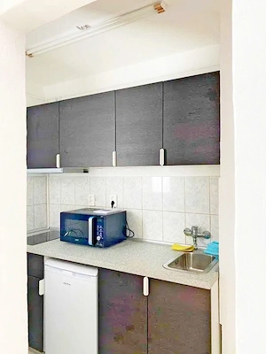 Circumvalațiunii - Ap 1 cam, Et 4 10, Lift, Kaufland - 280 Euro - imagine 12