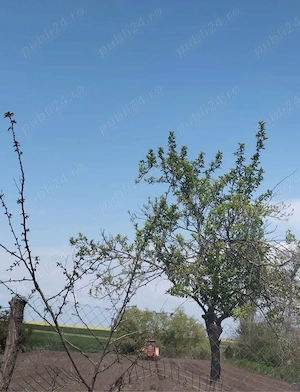 Vand casa in apropiere de Buzau si Ramnicu Sarat  - imagine 2